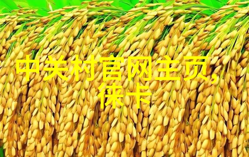 塑料反应釜生产厂家-高精度定制塑料反应釜的技术革新与市场需求分析