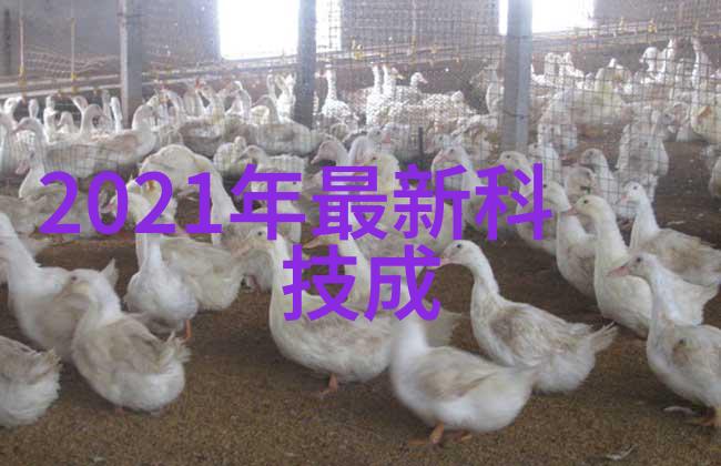 热风干燥设备蒸发的智慧与技术
