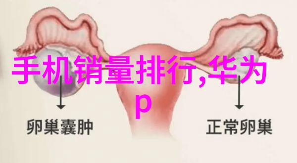 河北工业职业技术大学工技教育的新篇章