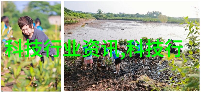装修预算编制技巧及其在施工组织设计中的应用