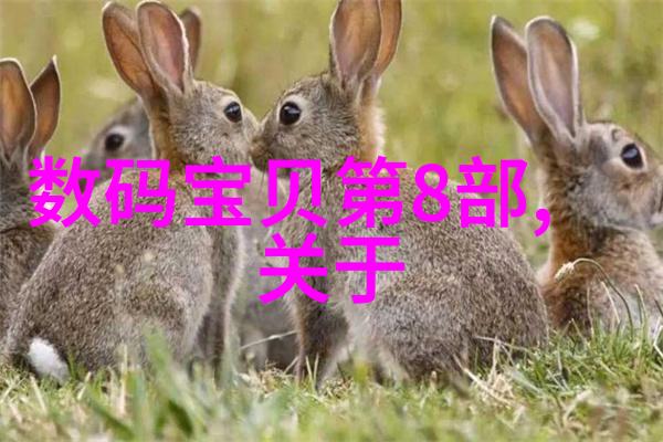 解读测水质仪器数值从技术参数到环境监测的智慧应用
