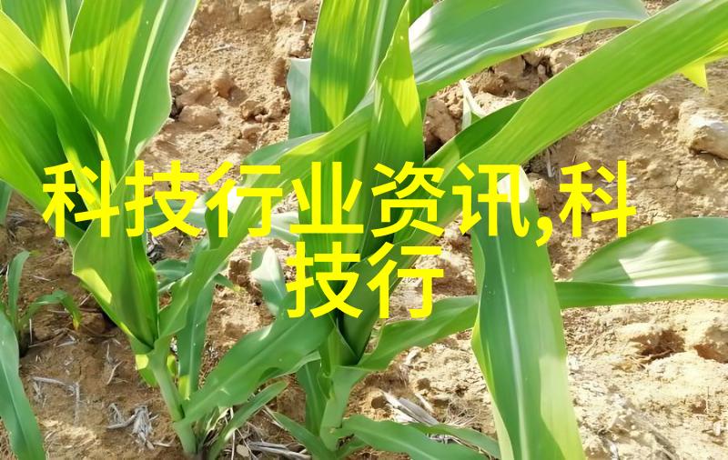 布袋除尘 - 纤细的网罗清洁的使者
