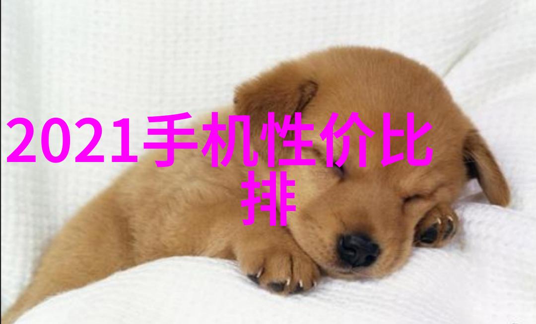 探索1012对辊制砂机技术如何优化石灰岩转化过程