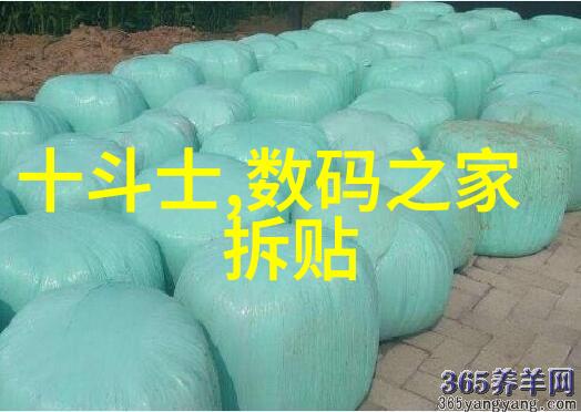 智能化财经-金融科技革命如何赋能未来投资与管理