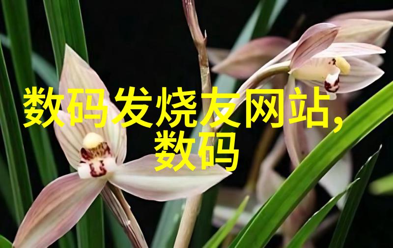 轮胎粉碎设备高效环保的轮胎破碎工艺