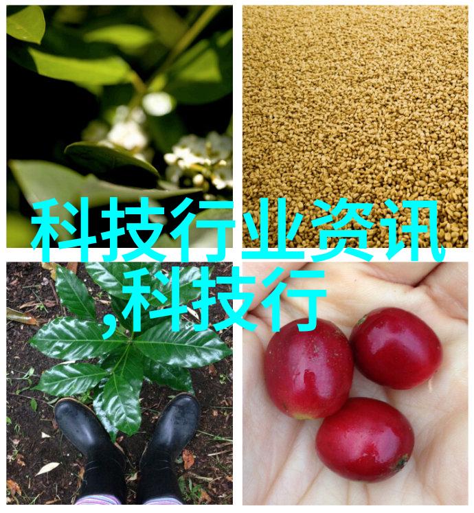 家居装修图片温馨宜居的梦想空间