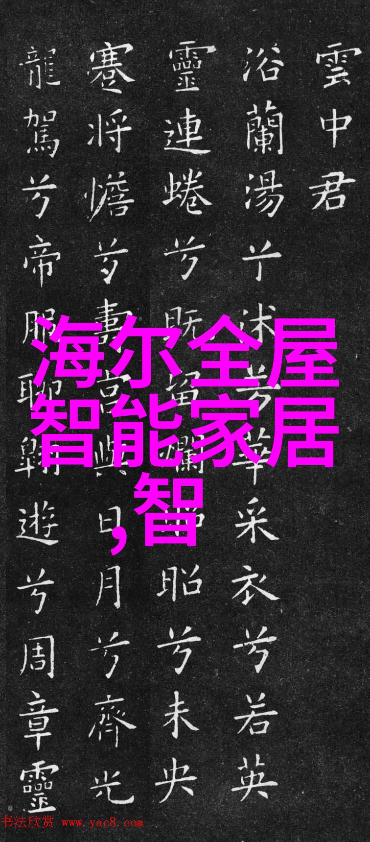 食品灭菌设备技术革新确保餐桌上的安全与卫生