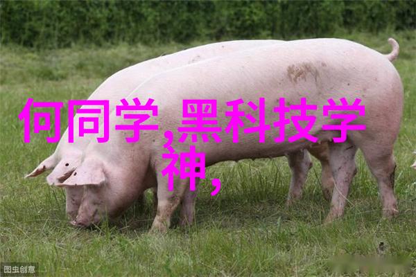 管式螺旋输送机系统高效物料自动输送解决方案