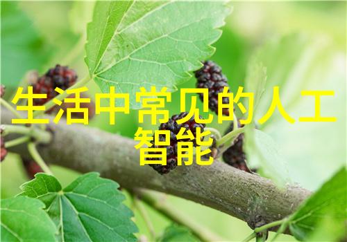 科技新闻 苹果新品发布会震撼亮相的创新之战