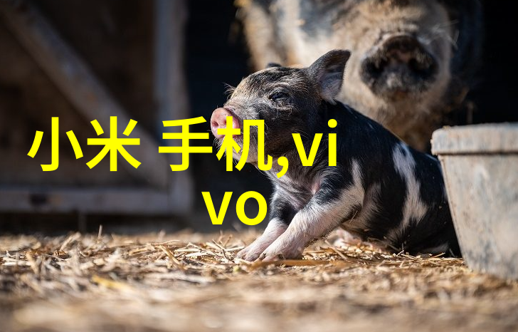 毛坯房装修照片-从简陋到奢华一套精心打造的家居空间变迁