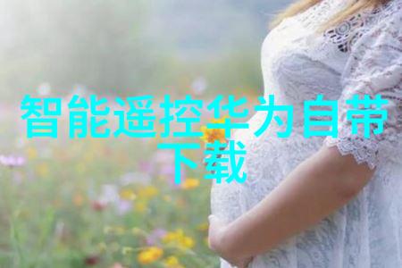 化学实验室仪器设备我是如何在实验室里应对各种复杂仪器的