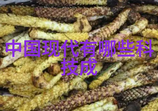 科技馆观后感触摸未来启迪潜能