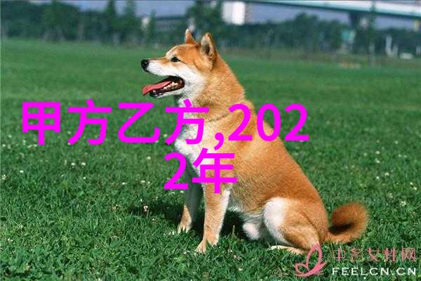 竭泽而渔夜晚的贫瘠