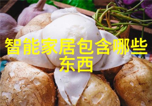 尘埃之舞布袋除尘器的隐秘旋律