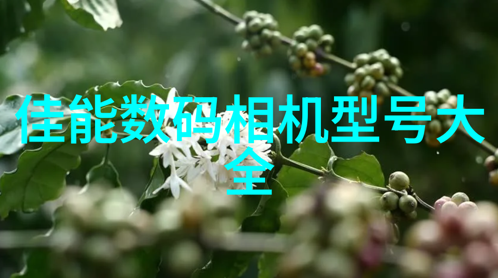 不锈钢波纹填料概述俺来给你讲讲它的好处和用法