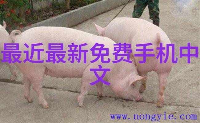 塑料管道的创新之选HDPE双壁波纹管的应用与优势