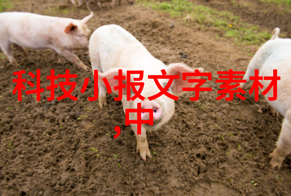 时尚回潮如何在现代客厅中融入2013年的装修元素