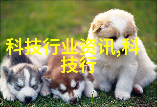 在食品工业中大型微波干燥设备可以替代传统烘箱吗
