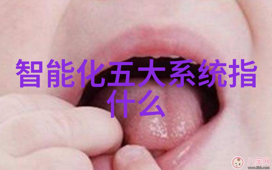 机械的翅膀带式干燥设备的飞跃之旅