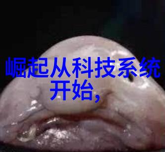 激活剂与催化剂促进剂的双重效应在化学反应中的应用探究