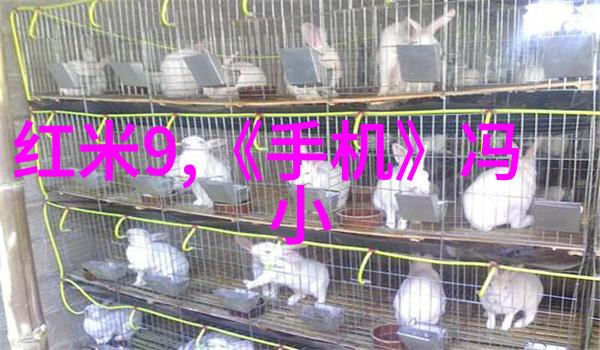 松冈贵美子日本文学中的女性形象探究