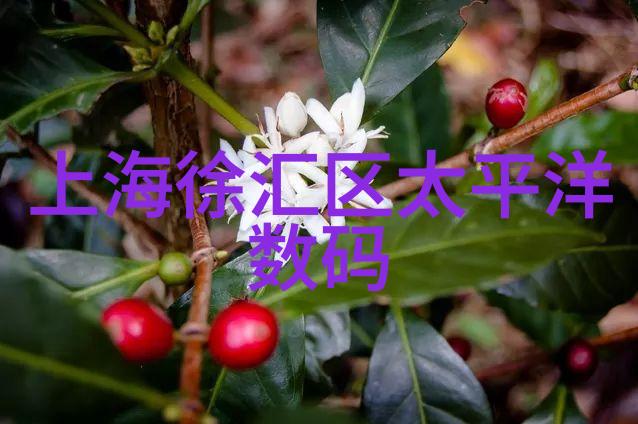 清流中的污垢