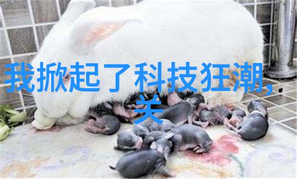 新技术如何影响了传统阀门设计和性能