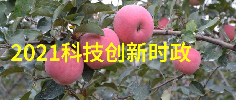 安全第一如何正确操作反应釜电加热设备