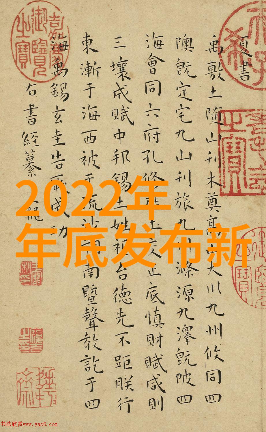 如何正确选择bx500的填料参数以优化性能