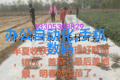 混沌之舞搅拌器的节奏