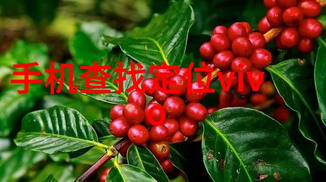 为为什么选择115度还是121度深入探讨两者区别