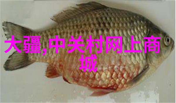防腐材料-守护不朽探索高性能防腐材料的未来