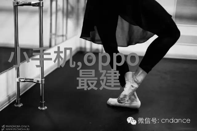 主题我和雷蒙机的奇妙冒险揭秘这个神秘机器人的世界