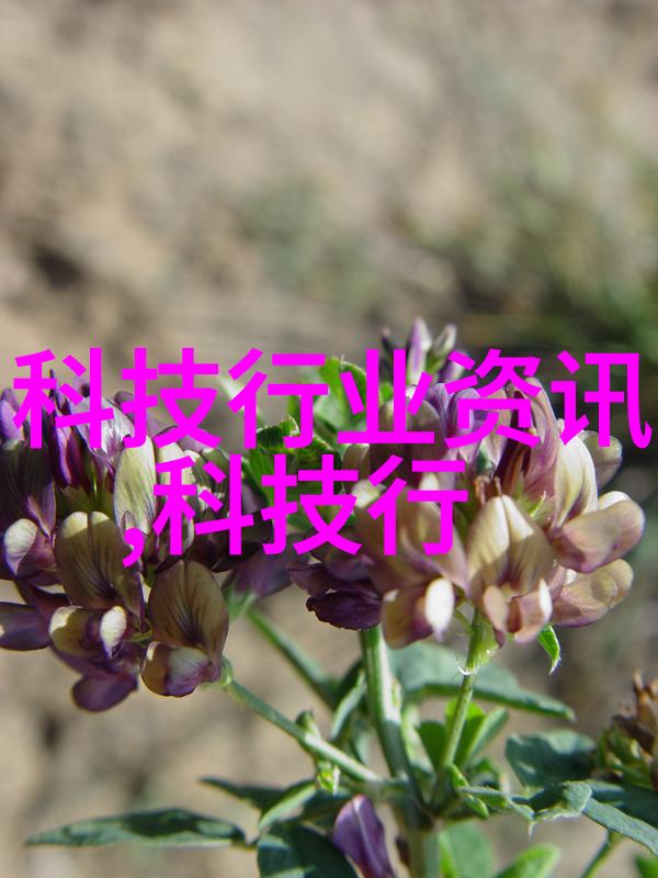 二手房局部装修重新面貌的轻吟