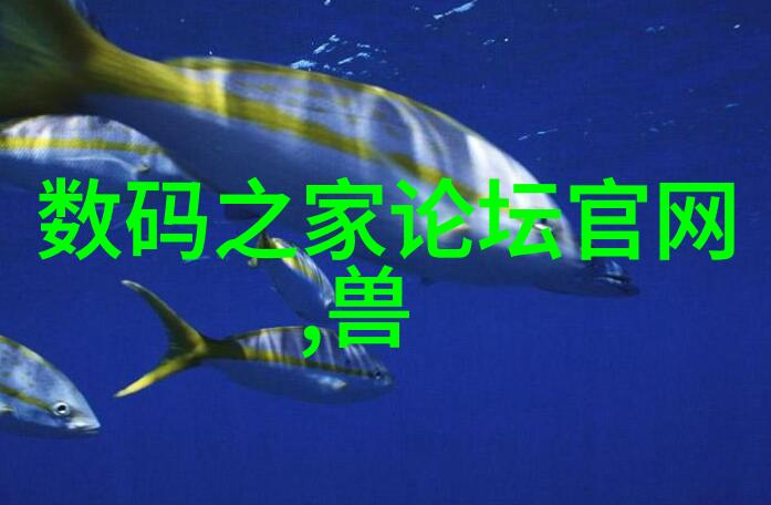 湘潭市内最佳装修服务提供商评选指南