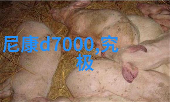 高效绿色大型中药提取浓缩设备的创新与应用