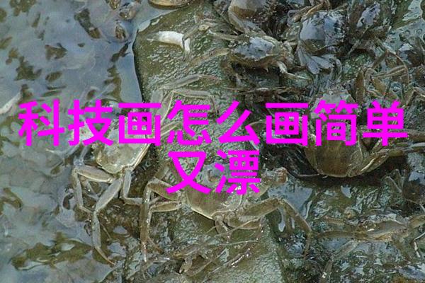 北京软件测评公司确保数字化转型的质量保障者