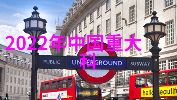 张鹭-翱翔蓝天张鹭的自由之旅