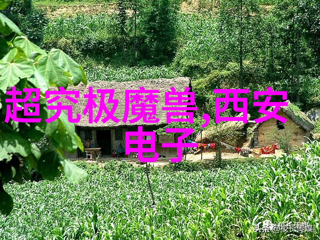 防腐材料 - 抗菌涂层与防水剂未来家居装修的双重保护