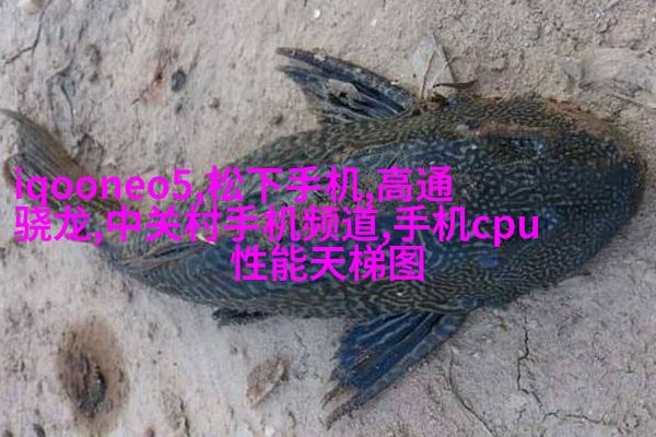 “鲁豫恋”河南癌症女孩与山东小伙拍婚纱照