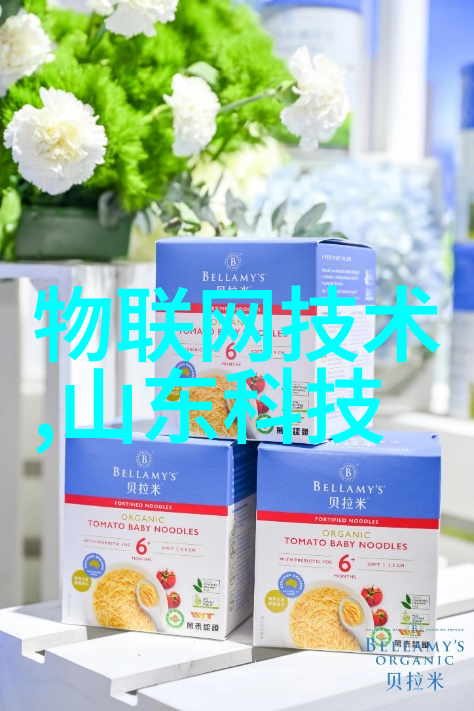 居家梦想绘制师探秘创意装修设计软件的神奇世界