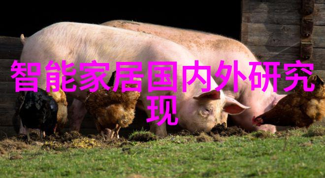 南京信息职业技术学院我在这所学校的日子总是充满了科技与梦想的交响曲