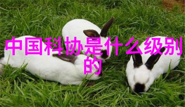 视觉编码与认知处理规整填料图片在认知心理学中的应用探究