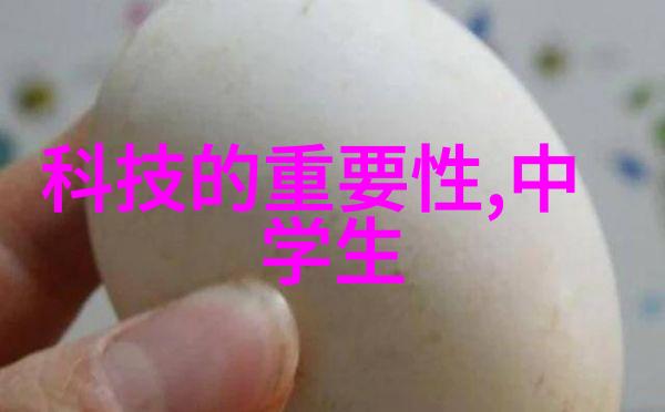 厨房带小阳台装修指南创造温馨与实用的空间融合
