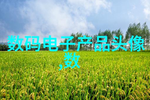 专业生产规整填料我来告诉你如何选对最合适的填充材料