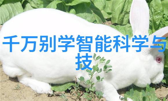 北京现代名图配件官网隐藏的艺术与未解之谜