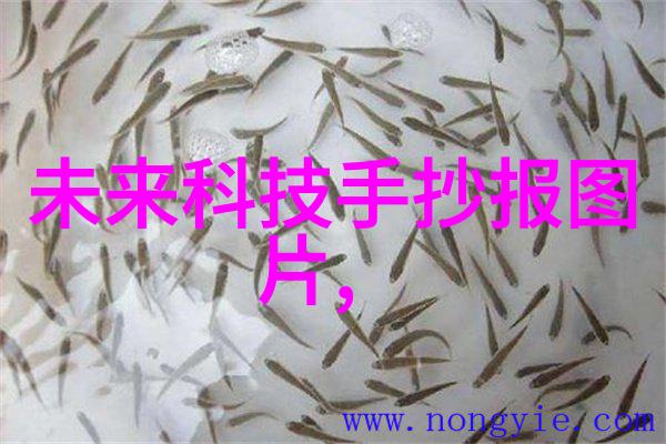 江火欲燃山我的焚心之志