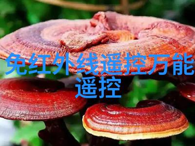创新的水源一体化饮用水净化设备的未来趋势