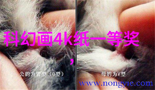 卫生间空间优化如何通过设计效果图提升浴室的实用性与美观度