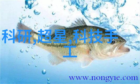 2022年芯片行情我眼中的半导体狂欢涨停潮与抄底战的故事